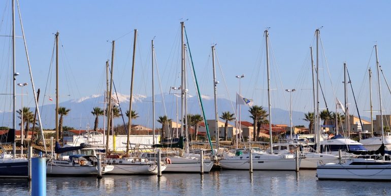 0060 Port avec le Canigou en fond - Copie